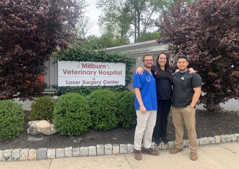 Millburn Veterinary Hospital Millburn veterinarians